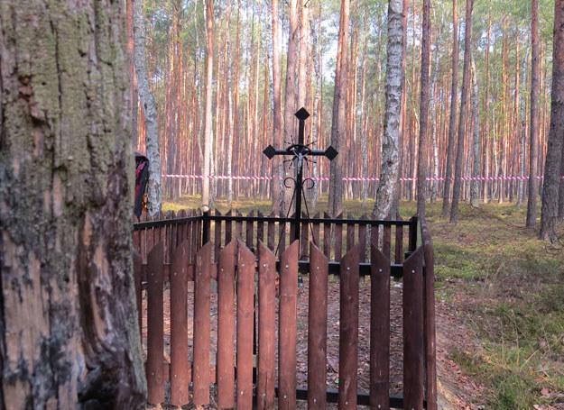 Krzyż, zdaniem Rady Ochrony Pamięci Walk i Męczeństwa, upamiętniał ofiary… hitlerowców /Odkrywca