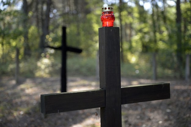 Krzyże na polskim cmentarzu ofiar UPA w Ostrówce na Ukrainie /Darek Delmanowicz /PAP