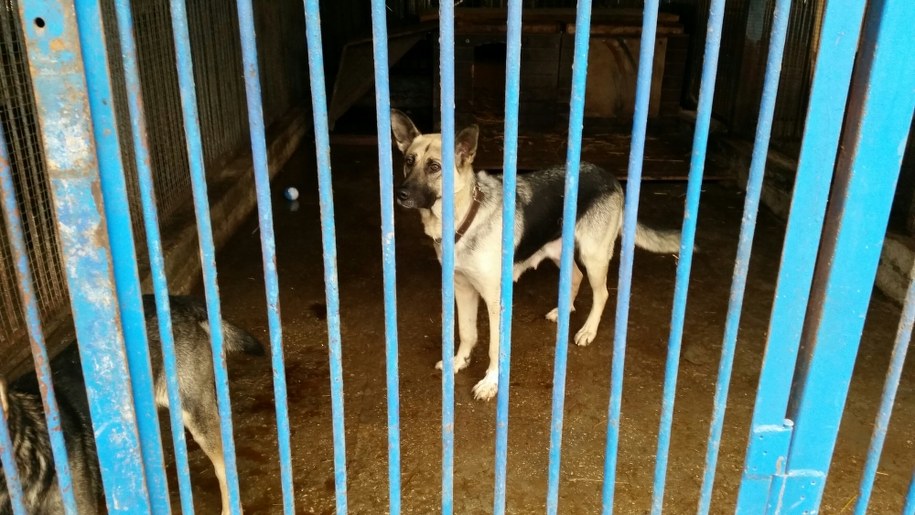 Ksena /Rafał Kwaśny /RMF FM