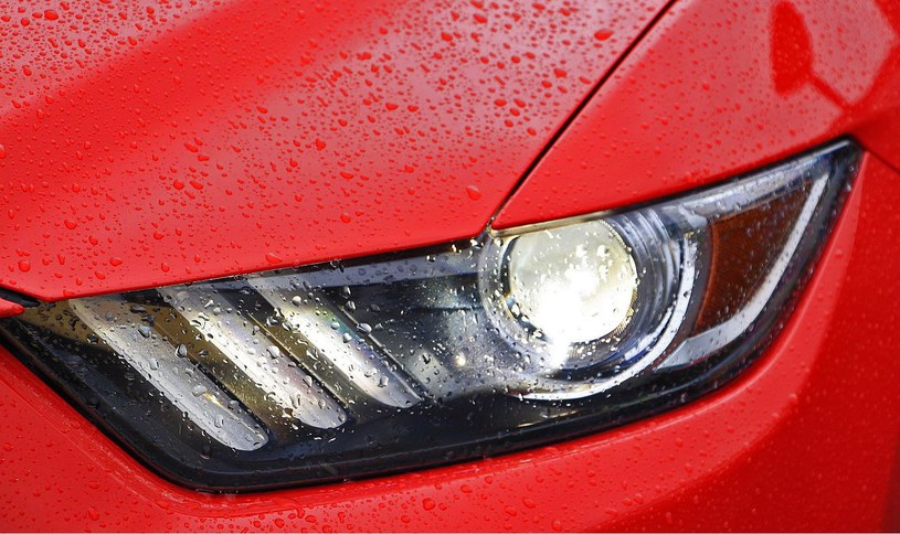 Ksenonowy reflektor w Fordzie Mustangu GT /INTERIA.PL
