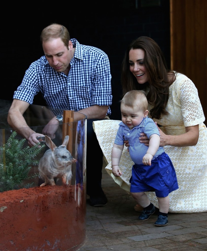 Książę George skradł show podczas swojej pierwszej zagranicznej wizyty w australijskim zoo /Chris Jackson /Getty Images