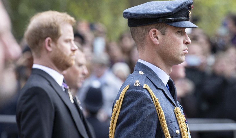 Książę Harry i książę William /Getty Images