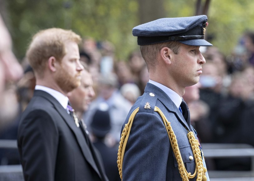 Książę Harry i książę William /Getty Images