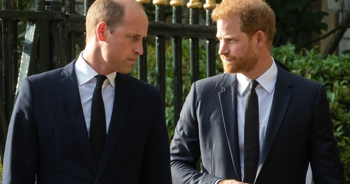 Książę Harry i książę William /Getty Images