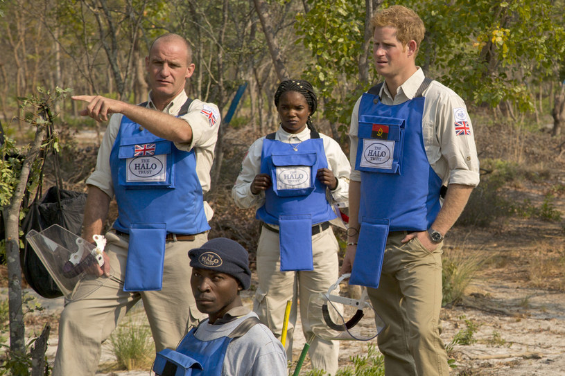 Książę Harry wybrał się do Angoli, by przyjrzeć się pracy przy rozminowywaniu terenów przez organizację non-profit HALO Trust /fot. AFP/HALO Trust /AFP