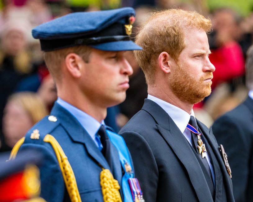 Książę Harry wyjawił, że to William nakłonił go do założenia munduru nazisty