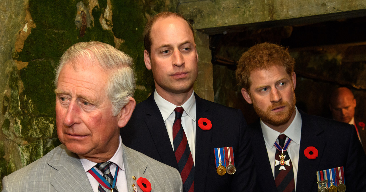 Książę Karol, książę William i Harry /Pool / Samir Hussein /Getty Images