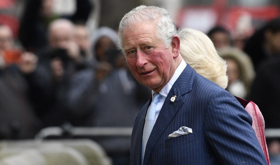 Książę Karol /NEIL HALL /PAP/EPA