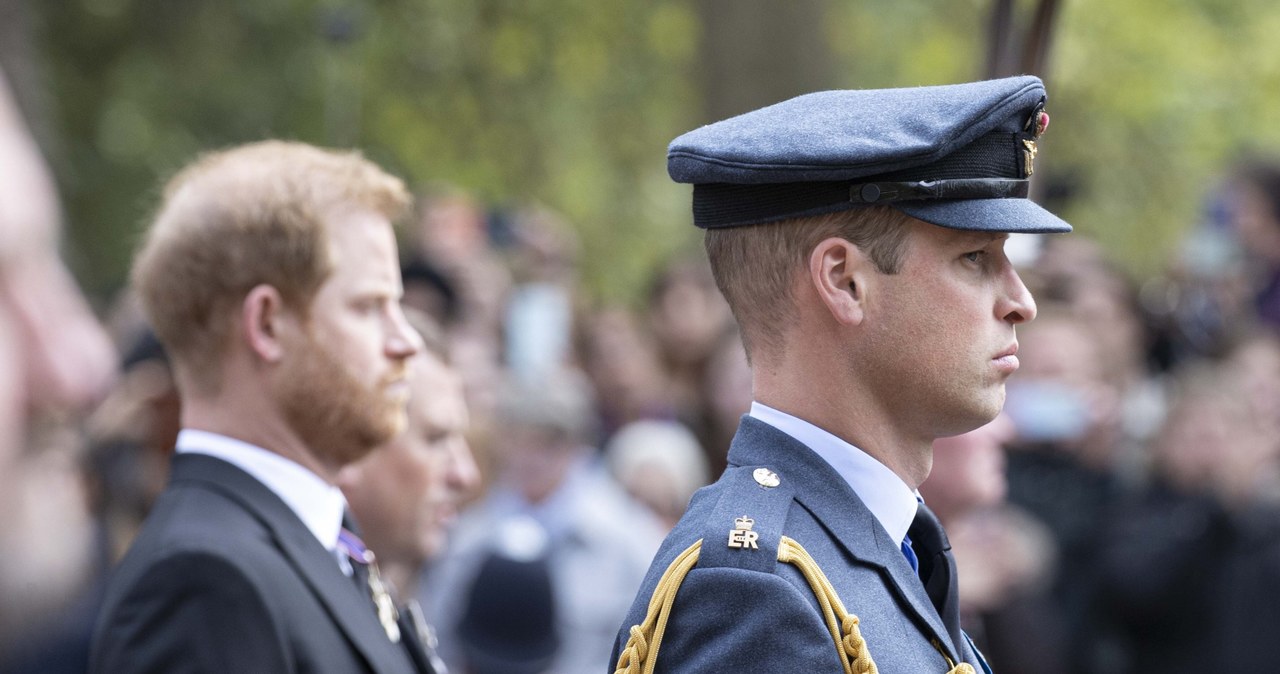 książę William i książę Harry /Getty Images