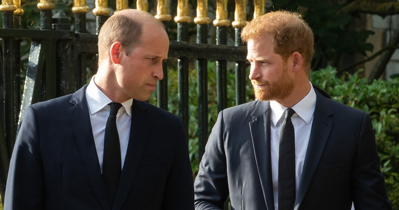 Książę William i książę Harry /Getty Images