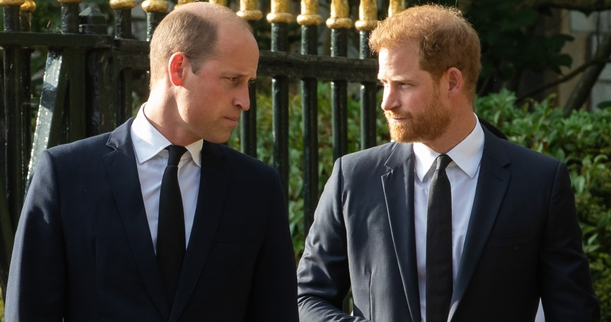 Książę William, książę Harry /Getty Images