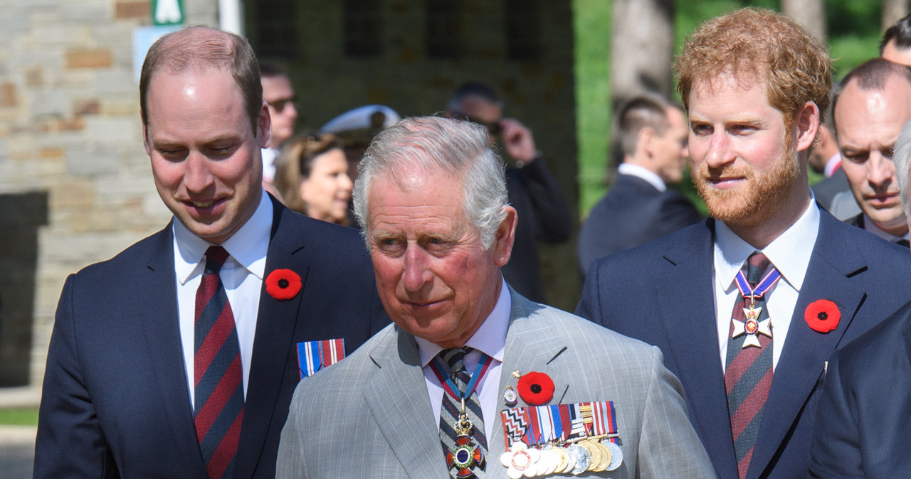 Książę William, książę Karol i Harry /Pool / Samir Hussein /Getty Images