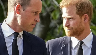 Książę William pozazdrościł Harry'emu. Teraz on zabłyśnie w telewizji