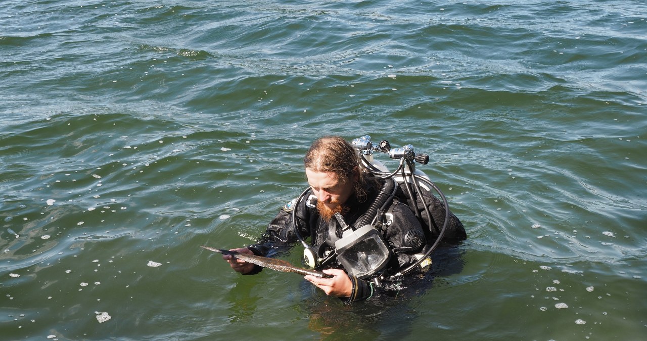 Książęca włócznia Piastów. Sensacyjne odkrycie na dnie Jeziora Lednica