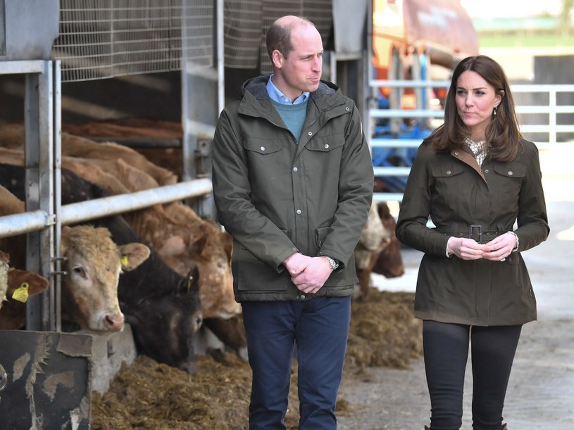 Księżna Kate i książę William /Samir Hussein /Getty Images