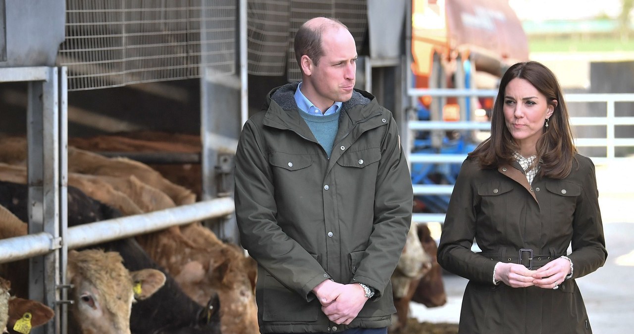 Księżna Kate i książę William /Samir Hussein /Getty Images