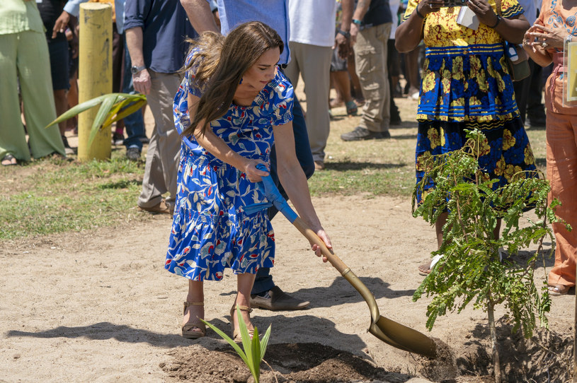 Księżna Kate na pamiątkę wizyty w Belize zasadziła drzewo /Jane Barlow/Press Association/East News /East News