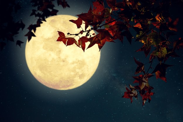 Księżyc na zdjęciu ilustracyjnym /Shutterstock