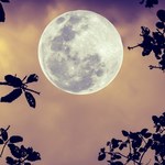 Księżyc Plonów objawi się jeszcze we wrześniu. Jak wykorzystać pełnię?