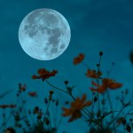 horoskop Księżyc Żniwiarzy przyniesie tym znakom szczęście i miłość. Jesteś wśród nich?