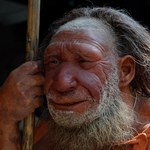 Kształt naszego nosa możemy zawdzięczać Neandertalczykom? Nowe badania