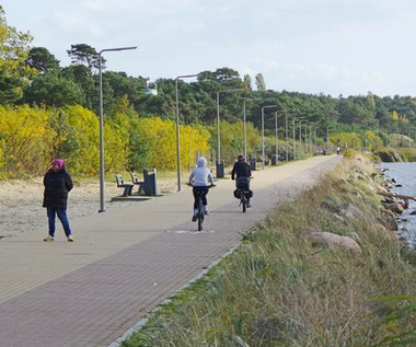 Kto ma pierwszeństwo na ścieżce rowerowej - pieszy czy rowerzysta?