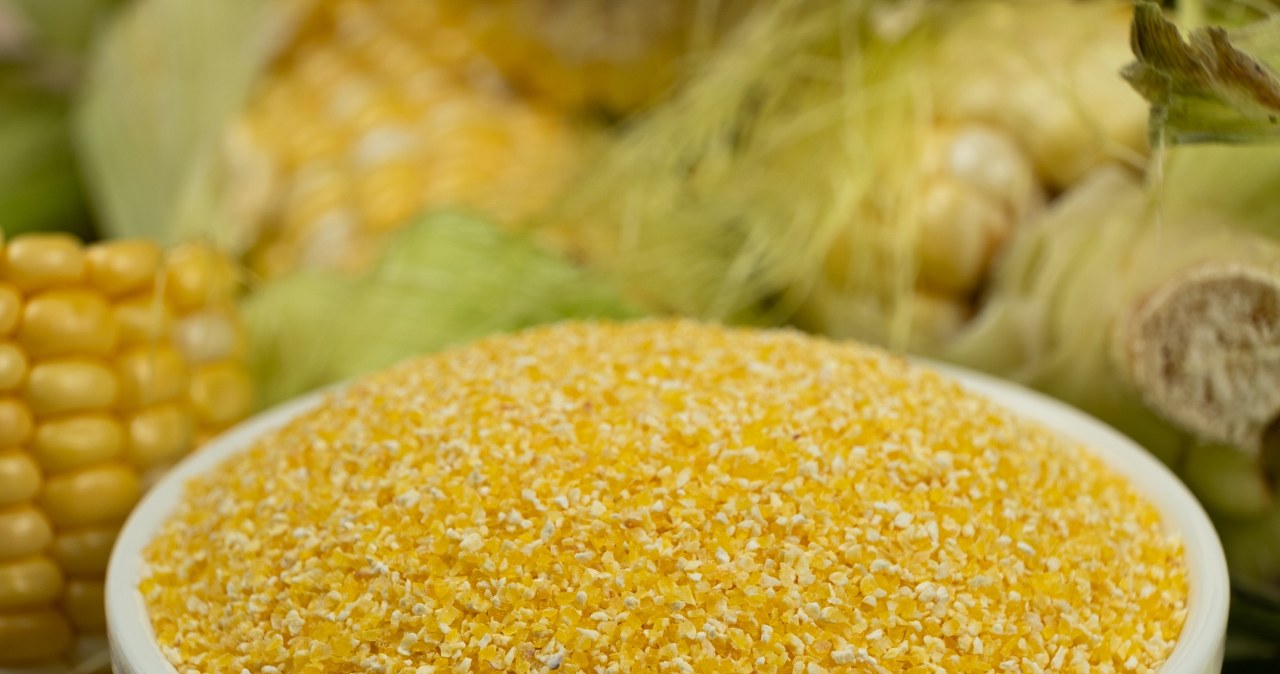 Kto powinien jeść kaszę kukurydzianą? Ten produkt sprawdza się m.in. w diecie seniorów. /garnazarina /123RF/PICSEL