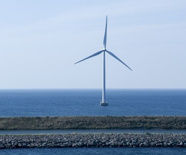 Kto rzeczywiście zainwestuje w farmy wiatrowe na Bałtyku?