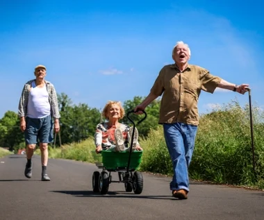 Kto stara się o dofinansowanie z PISF-u? Kontynuacja popularnej komedii na liście