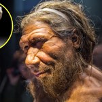 Kto tworzył pierwsze narzędzia kamienne? Archeolodzy w końcu to odkryli
