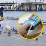 Kto wydaje najwięcej podczas urlopu? Sopot podał dane