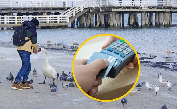 Kto wydaje najwięcej podczas urlopu? Sopot podał dane