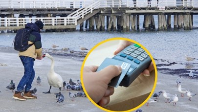 Kto wydaje najwięcej podczas urlopu? Sopot podał dane