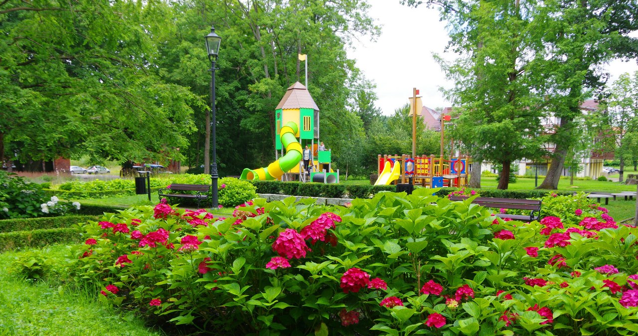 Które krzewy można przycinać wczesną wiosną, a którym to zaszkodzi? / MAREK BAZAK  /East News