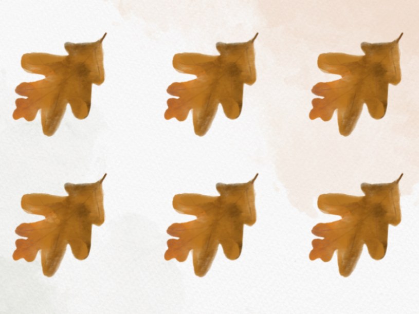 Który liść jest inny? Tylko sokole oko dostrzeże różnicę