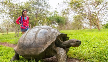 Ktoś zabija i zjada gigantyczne żółwie z Galapagos