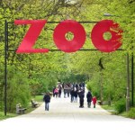 Ktoś zgubił fortunę w polskim zoo. Policja pilnie szuka właściciela gotówki