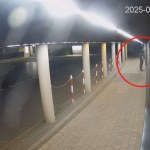 Ktoś zniszczył tablicę poświęconą Pawłowi Adamowiczowi. Jest nagranie