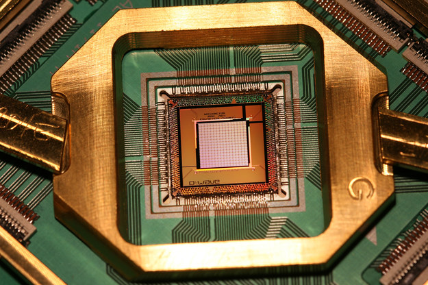 Kubitowy chip komputera kwantowego / inf. prasowa /&nbsp