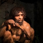 Kuchnia neandertalczyków. Jak gotowali nasi dawni krewni?