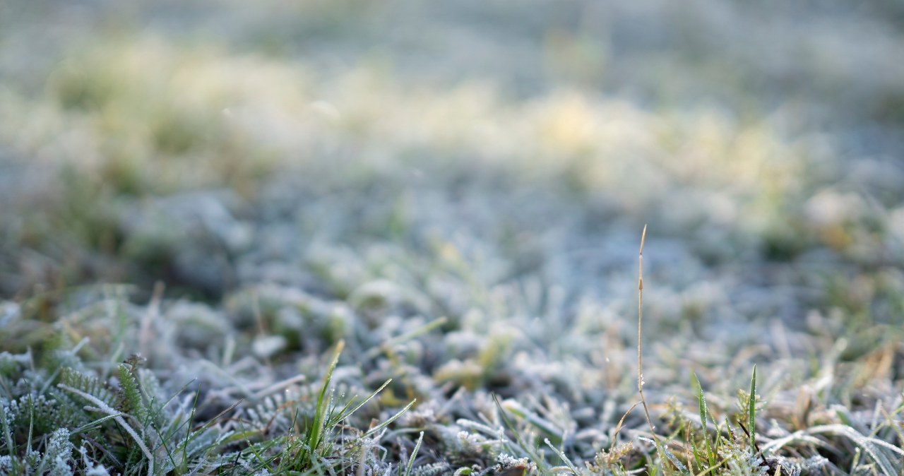Kujawsko-pomorskie: Nocny i poranny spadek temperatury. Ostrzeżenie IMGW