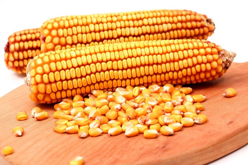 Kukurydza to kolejne warzywo, które warto włączyć do zdrowej diety /123RF/PICSEL