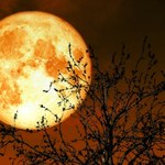 Kukurydziany Księżyc przyniesie tym znakom zodiaku szczęście. Los będzie dla nich hojny