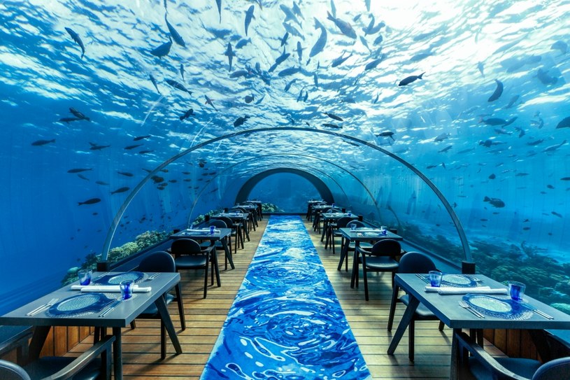 Kulinarna rozkosz na dnie Oceanu? Na Malediwach wszystko jest możliwe /INTERIA.PL/materiały prasowe