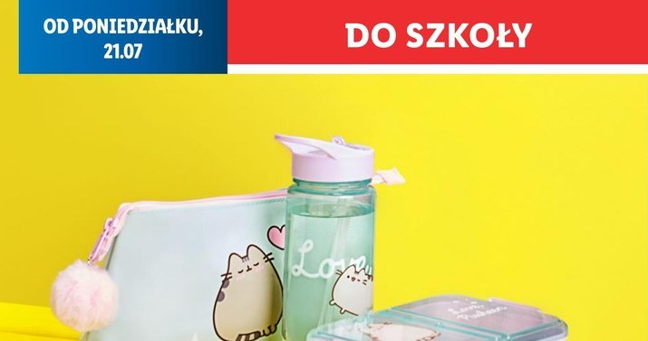 Kultowa kotka z sieci wróciła! Pusheen w Lidlu tylko przez chwilę /Lidl