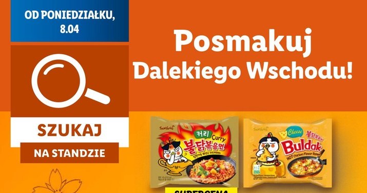 Kultowe koreańskie zupki znów w Lidlu! /Lidl /INTERIA.PL