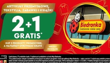 Kup 3, zapłać za 2! Biedronka kusi świąteczną promocją na zabawki i tekstylia