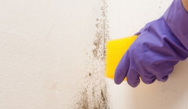 ​Kup w aptece za 2 zł. Pleśń i grzyb bez trudu znikną ze ściany