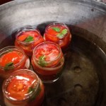 pomidory malinowe Kupiłam skrzynkę pomidorów na targu i zrobiłam pyszne przetwory. Zimą będą jak znalazł do każdego obiadu