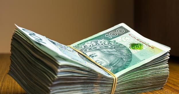 Kupiłeś i nie zglłosiłeś? Zapłacisz nawet 1000 zł kary! /&copy;123RF/PICSEL